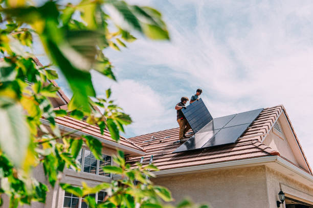 Best Roof Gutter Cleaning  in Auburn, AL