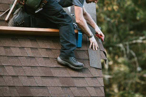 Roof Gutter Cleaning in Auburn, AL